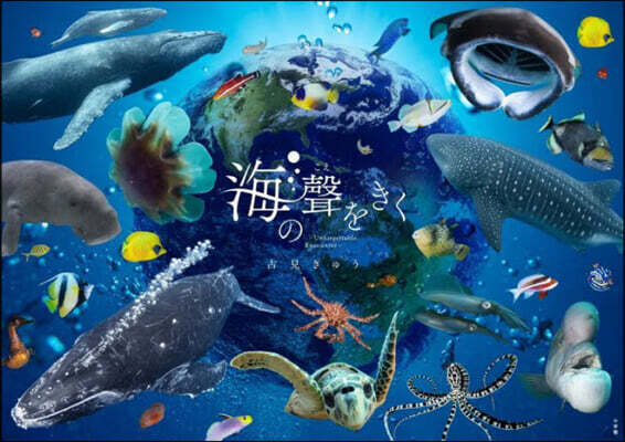 海の聲をきく