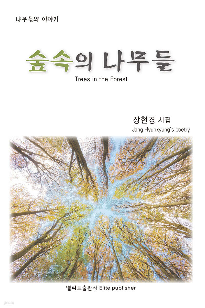 숲속의 나무들