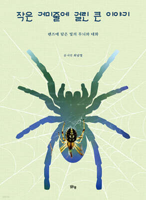 작은 거미줄에 걸린 큰 이야기