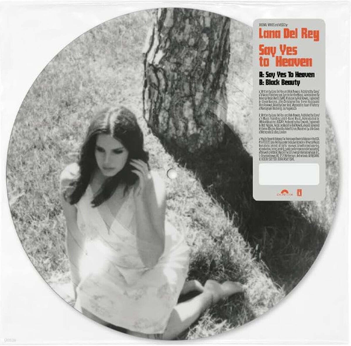 Lana Del Rey (라나 델 레이) - Say Yes To Heaven [픽쳐디스크 7인치 Vinyl]