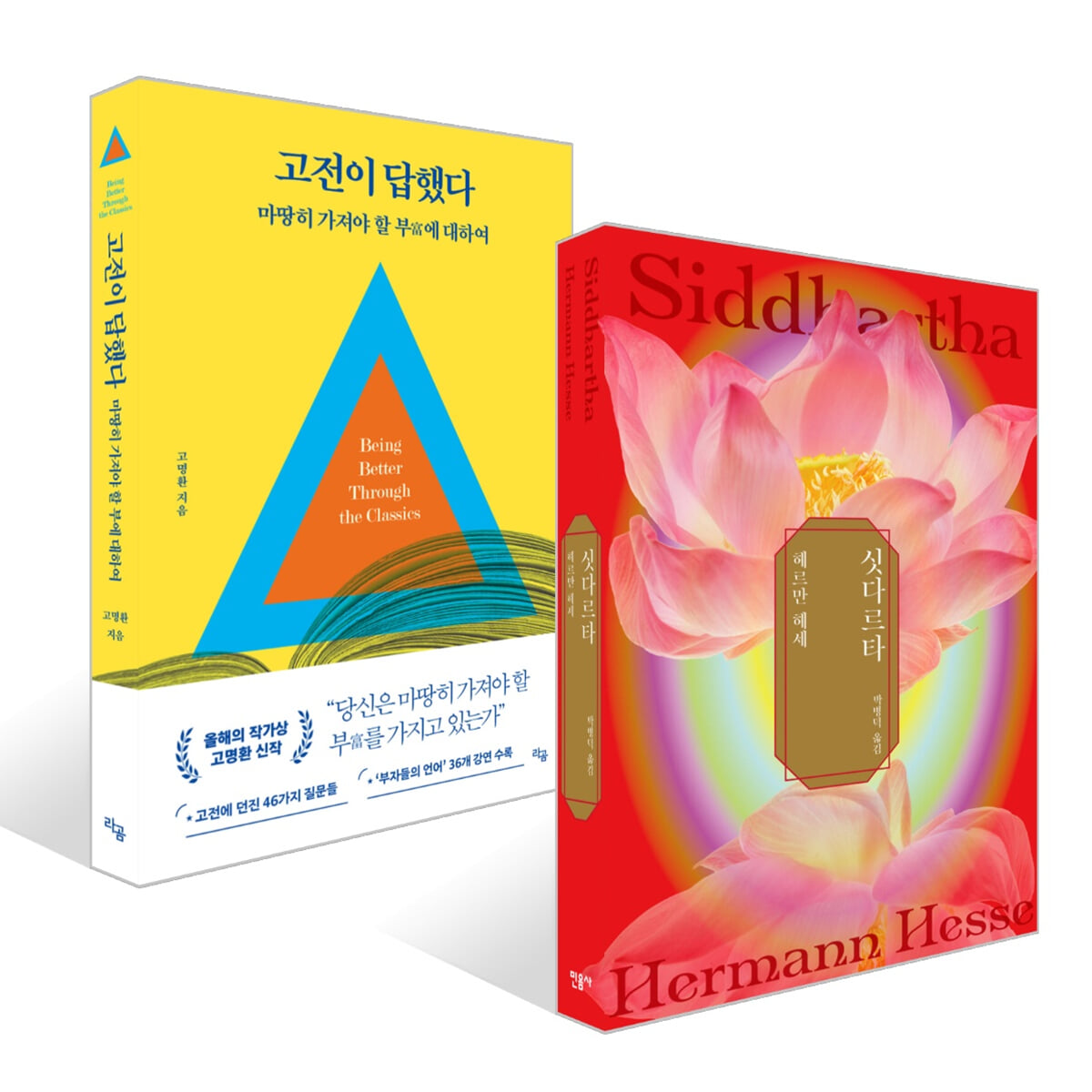 싯다르타 + 고전이 답했다 마땅히 가져야 할 부에 대하여 세트