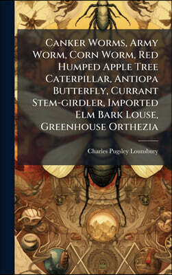 Canker Worms, Army Worm, Corn Worm, Red Humped Apple Tree Caterpillar, Antiopa Butterfly, Currant Stem-girdler, Imported Elm Bark Louse, Greenhouse Orthezia