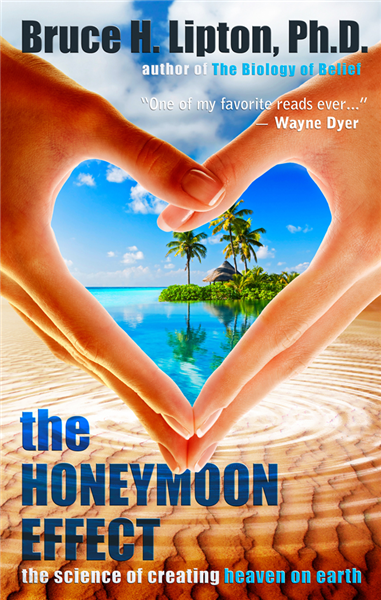 The Honeymoon Effect