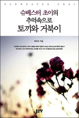 슈베스터초이의 추억속으로 토끼와 거북이