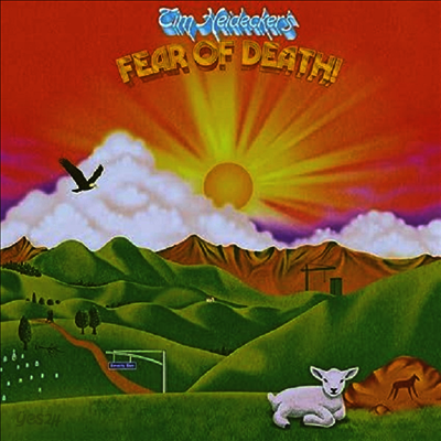 Tim Heidecker - Fear Of Death (LP)
