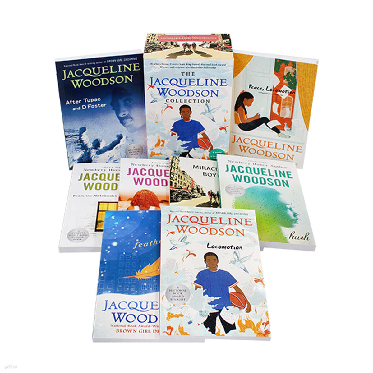 The Jacqueline Woodson Collection 8 Books Set