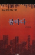 불바다 -1994년 한겨레 문학상 수상작-