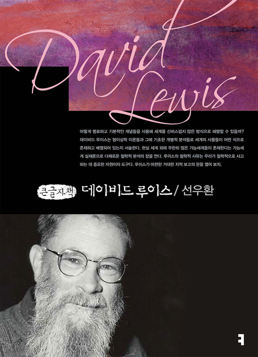 데이비드 루이스 (큰글자책)