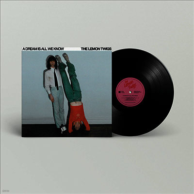 Lemon Twigs — A Dream Is All We Know 앨범 커버