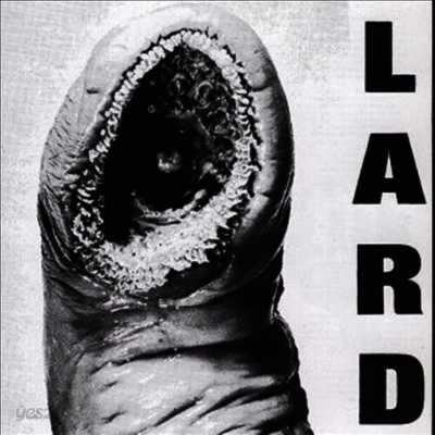 Lard - Power Of Lard (12 inch Single LP)