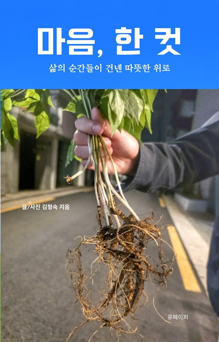 마음, 한 컷