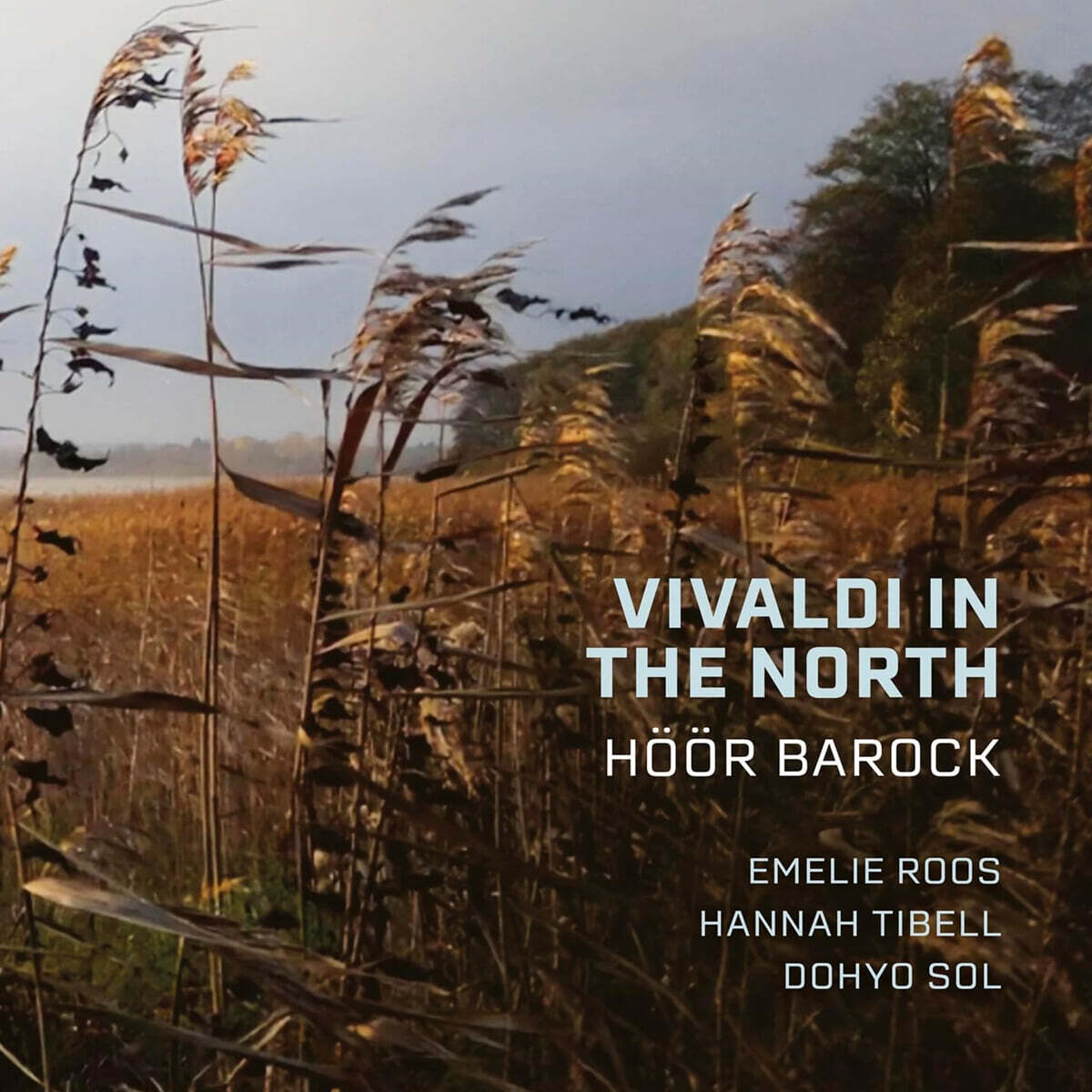 Hoor Barock 비발디: `북방의 비발디` - 협주곡과 신포니아 (Vivaldi In The North (roos, Tibell, Sol, Hoor Barock))
