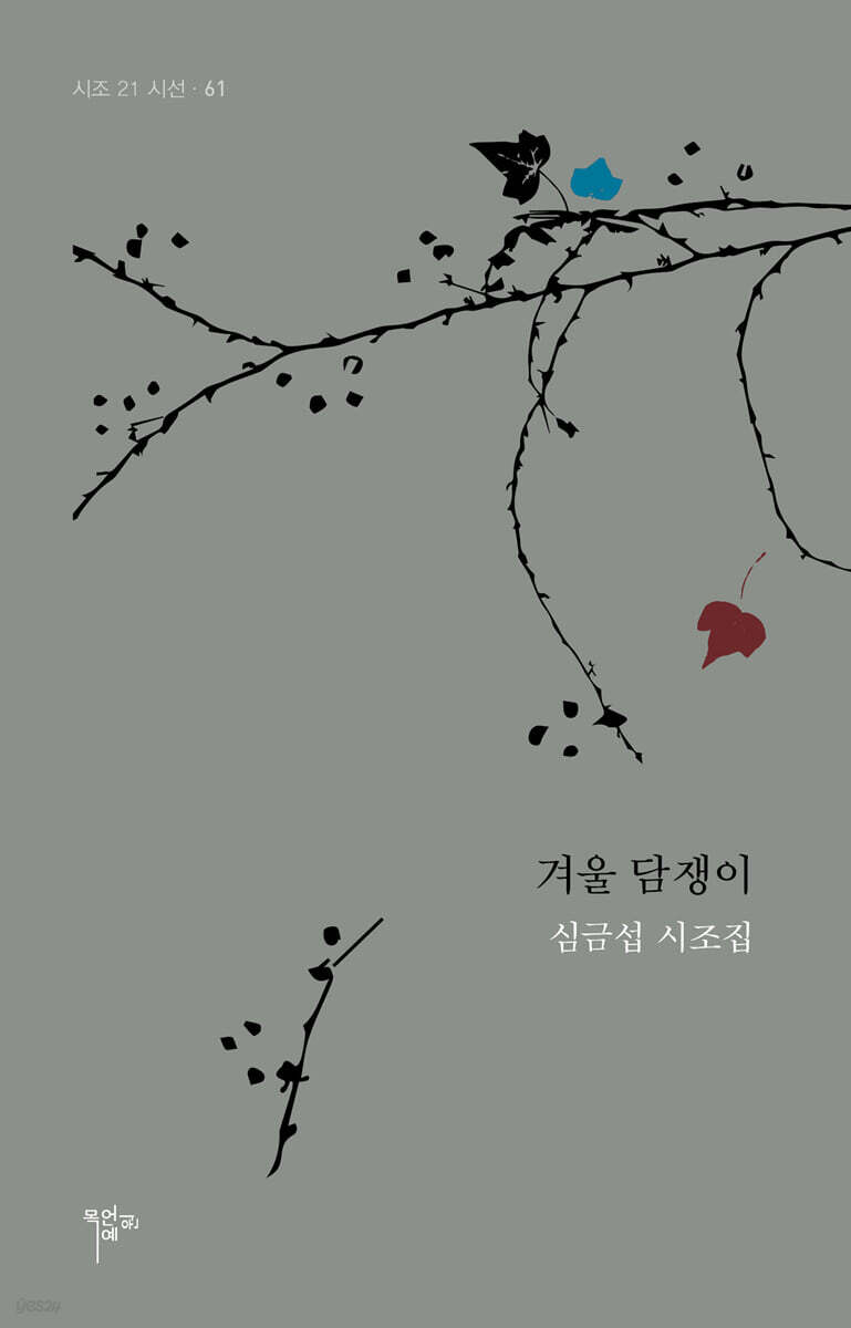 겨울 담쟁이