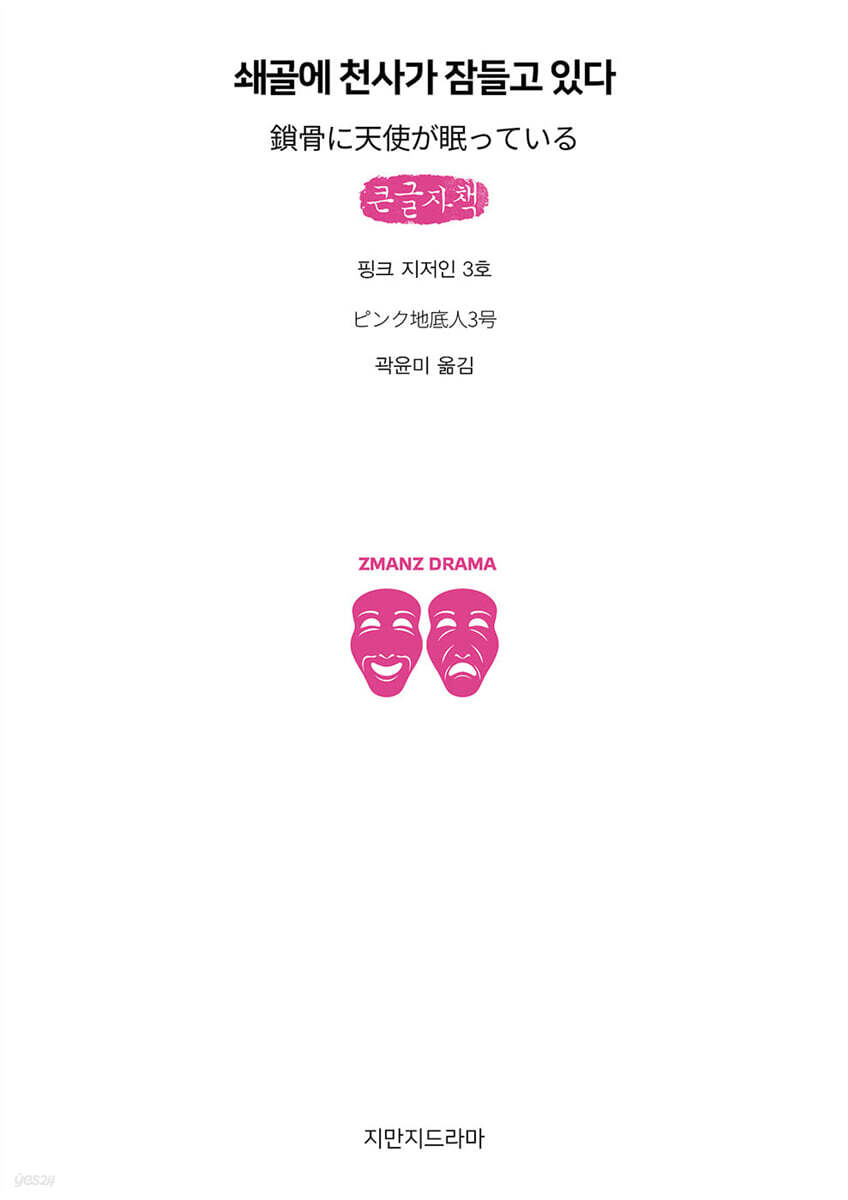 쇄골에 천사가 잠들고 있다 (큰글자책)