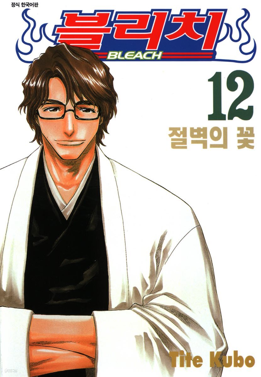 블리치 12