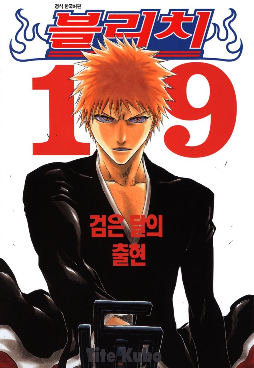 블리치 19