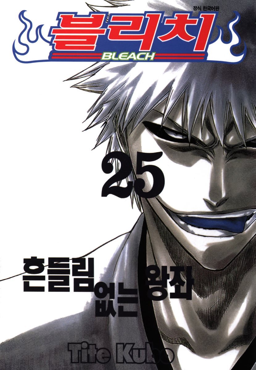블리치 25