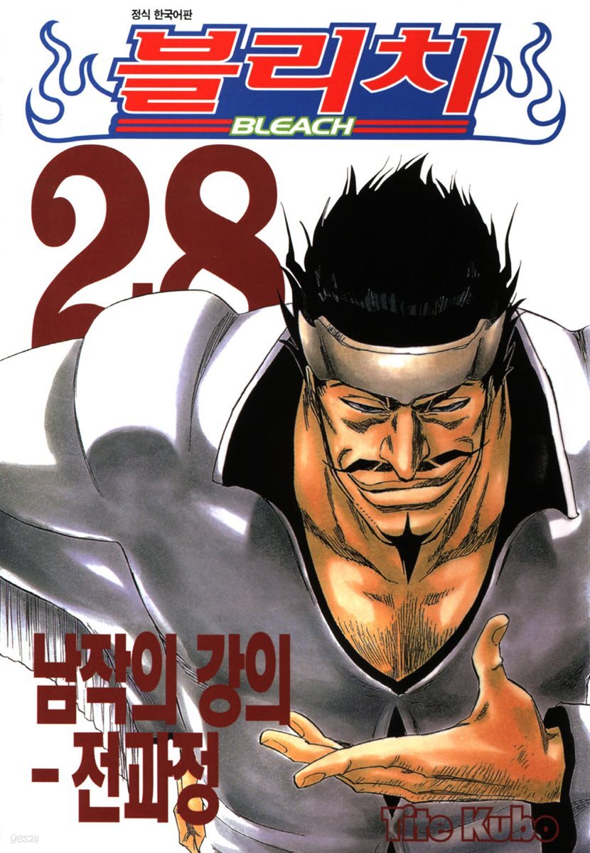 블리치 28