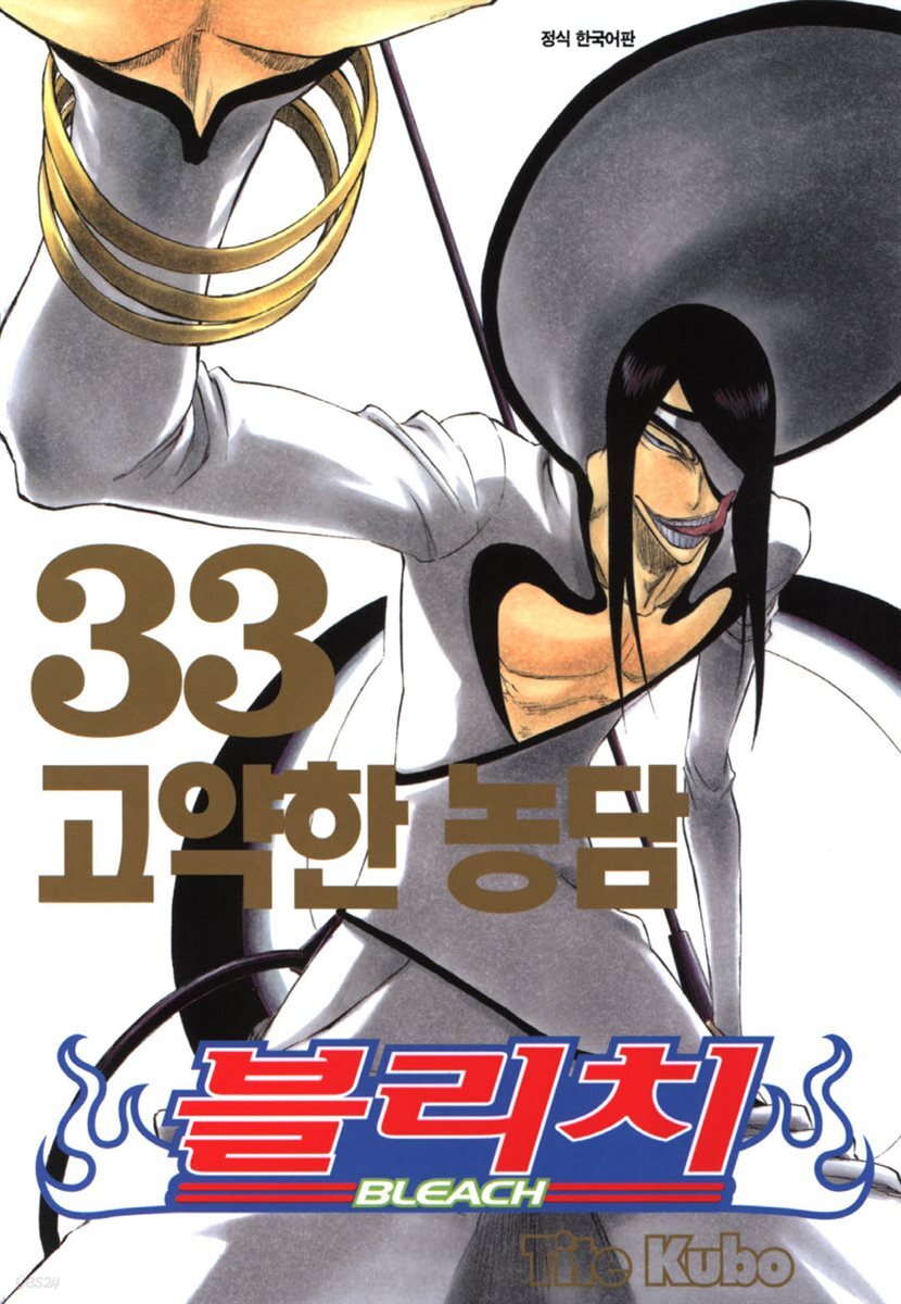 블리치 33