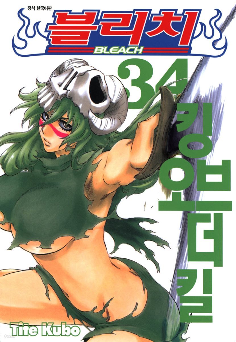 블리치 34
