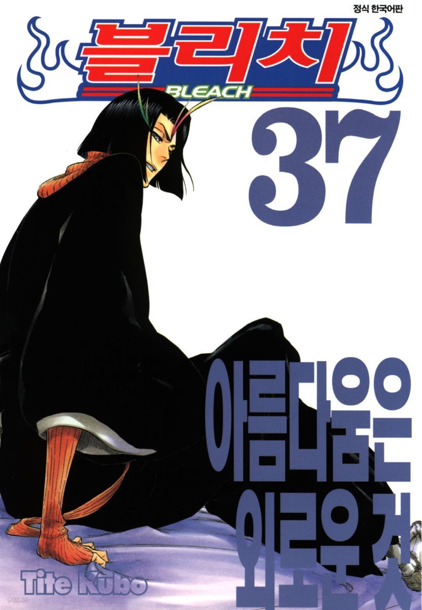 블리치 37