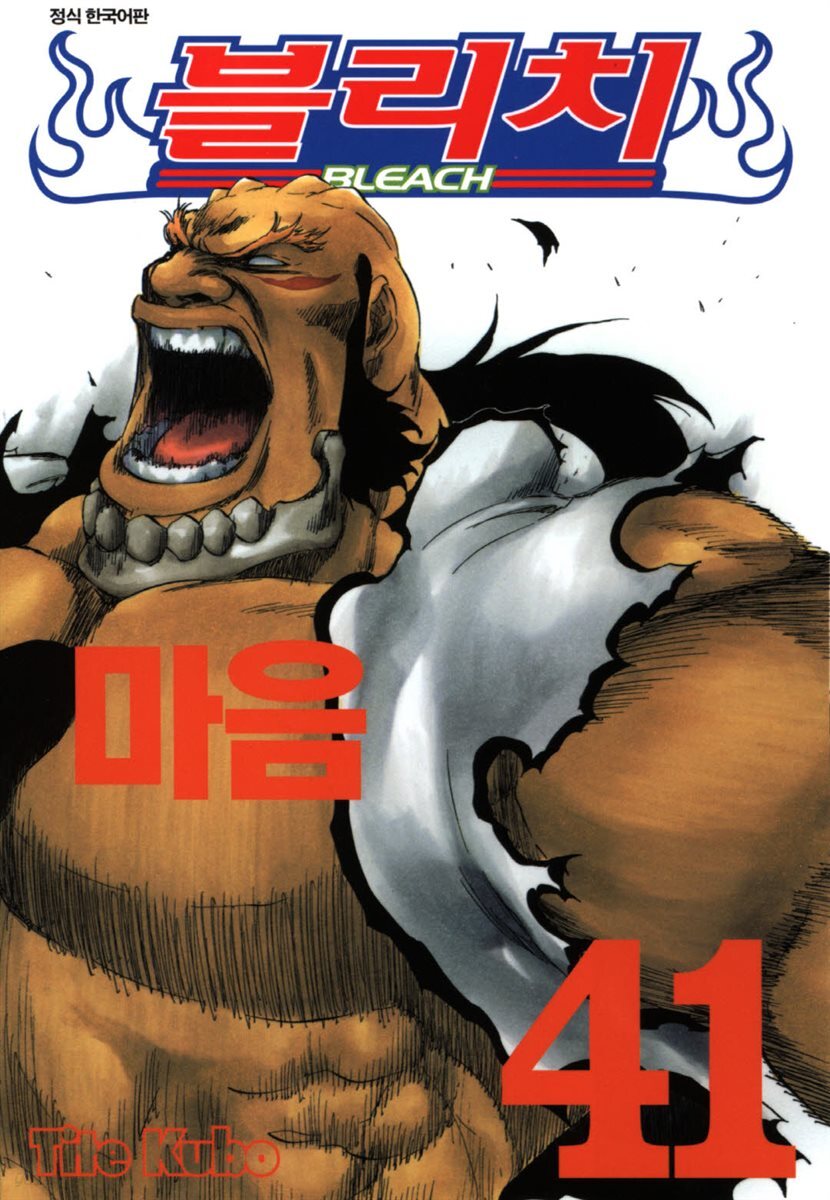 블리치 41