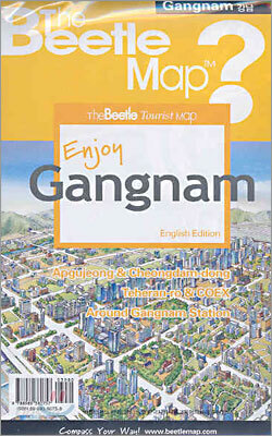 Enjoy Gangnam