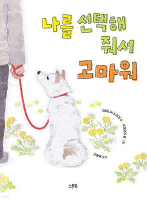 책 정보