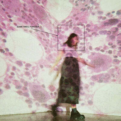 Soccer Mommy — Sometimes, Forever 앨범 커버