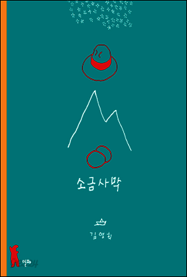 소금사막