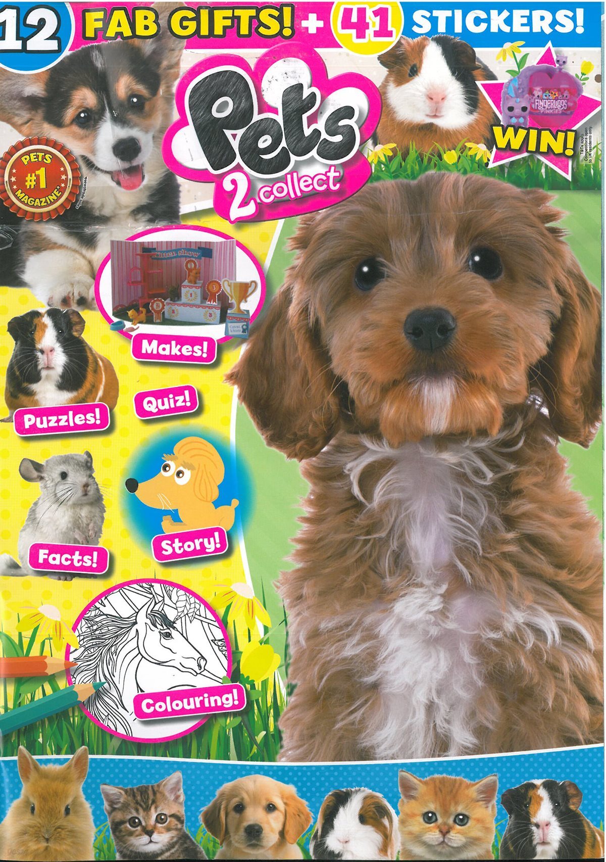 PETS 2 COLLECT   (월간) : 2025년 no.148