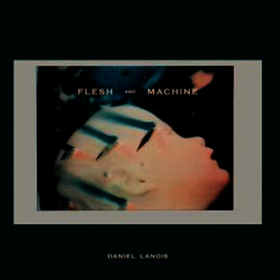 Daniel Lanois — Flesh & Machine 앨범 커버