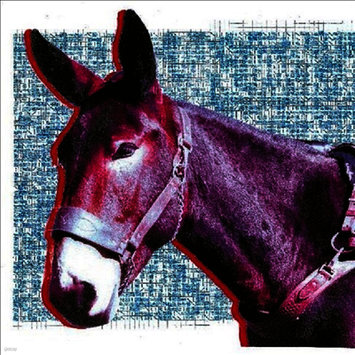 Protomartyr — Ultimate Success Today 앨범 커버