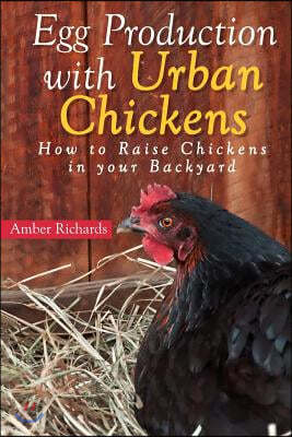 Egg Production with Urban Chickens: How to Raise Chickens in Your Backyard