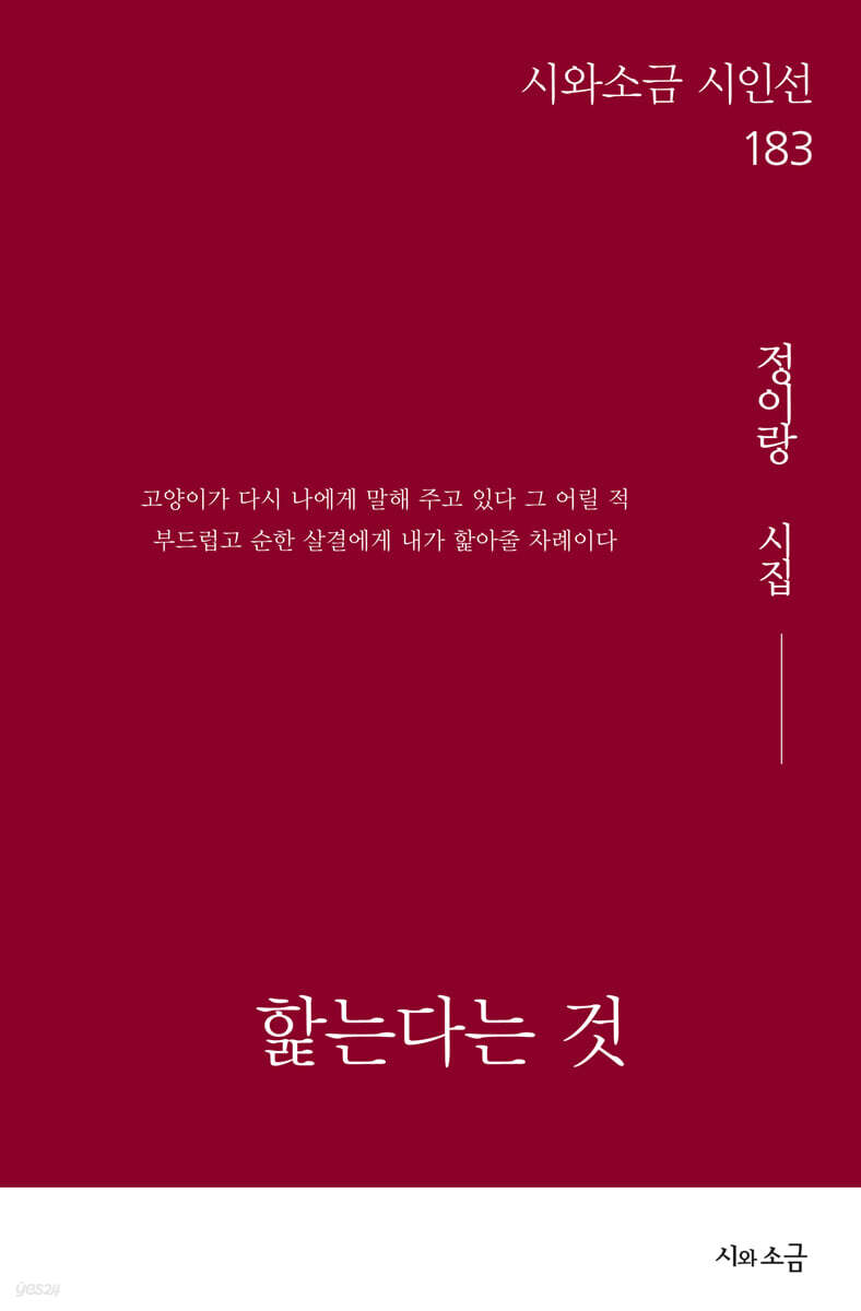 핥는다는 것