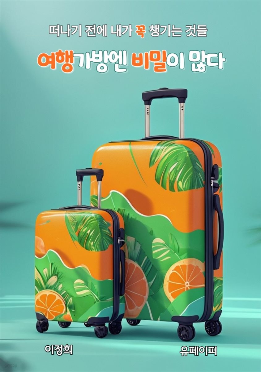 여행가방엔 비밀이 많다