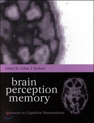 Brain, Perception, Memory