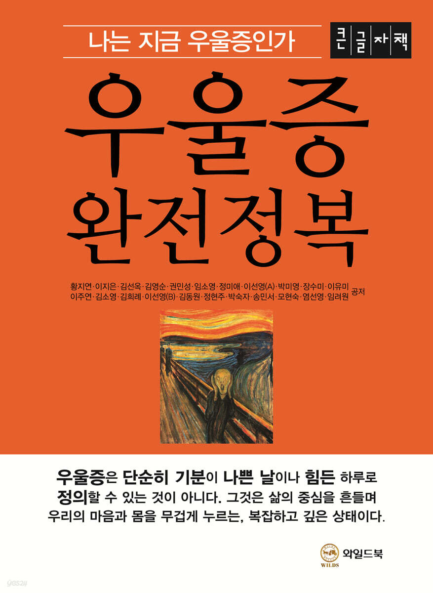우울증 완전정복 (큰글자책)