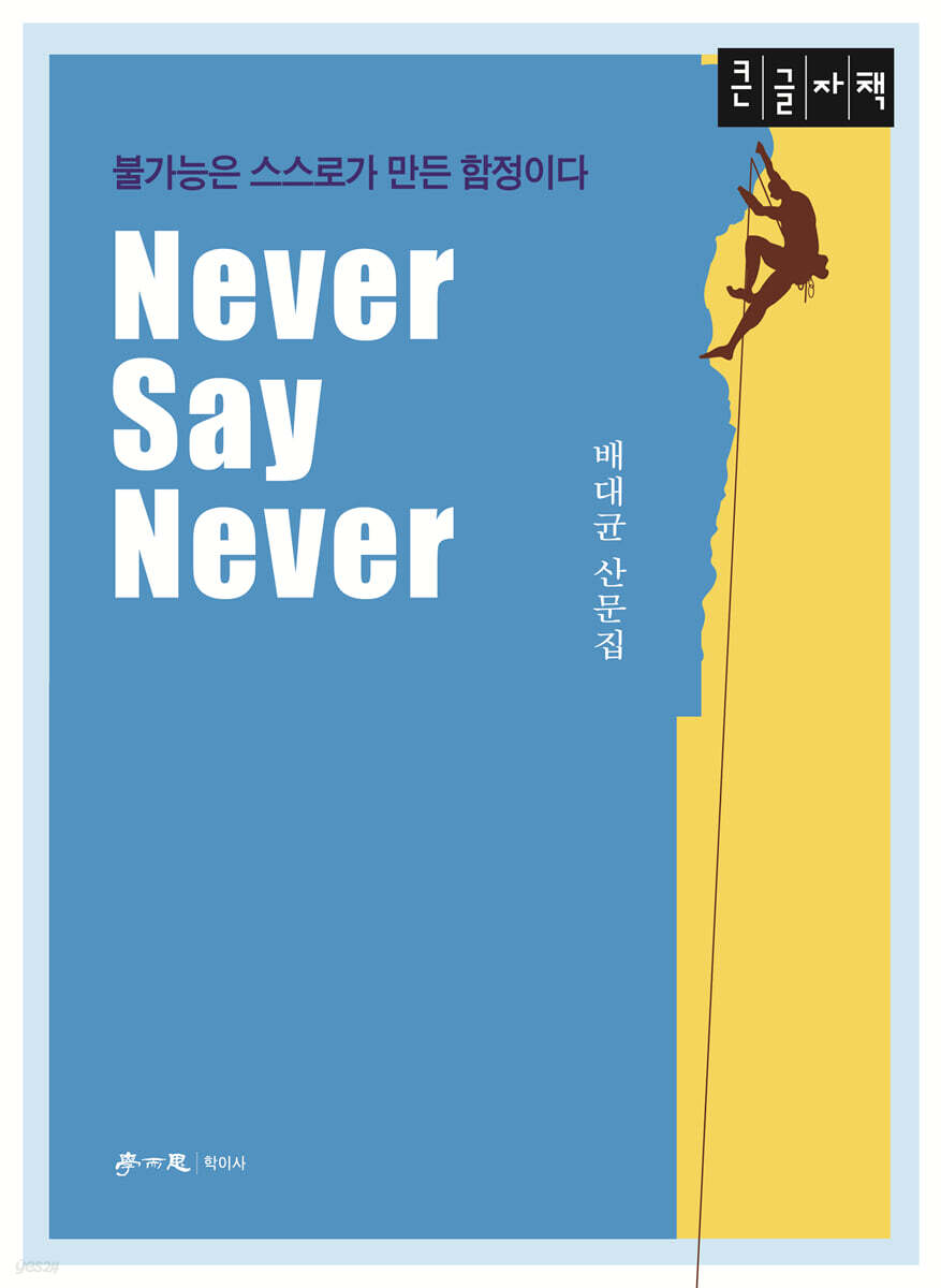 Never Say Never (큰글자책)