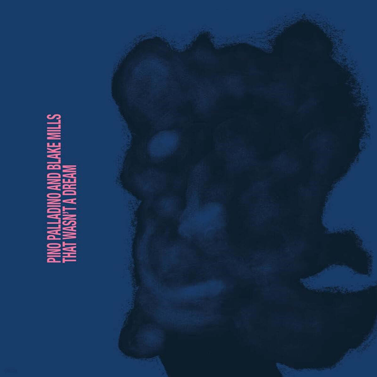 Pino Palladino / Blake Mills (피노 팔라디노 / 블레이크 밀스) - That Wasn't a Dream [LP]