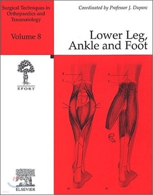 Surgical Techniques in Orthopaedics and Traumatology : Lower Leg, Ankle and Foot Vol.8