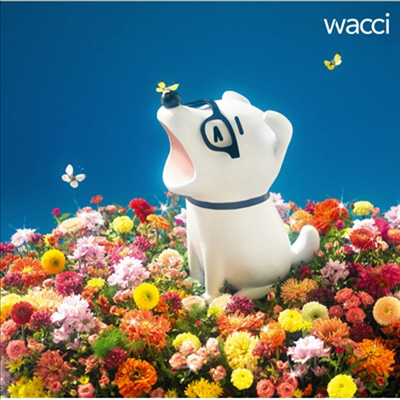 Wacci (ġ) - ᫭ (CD)