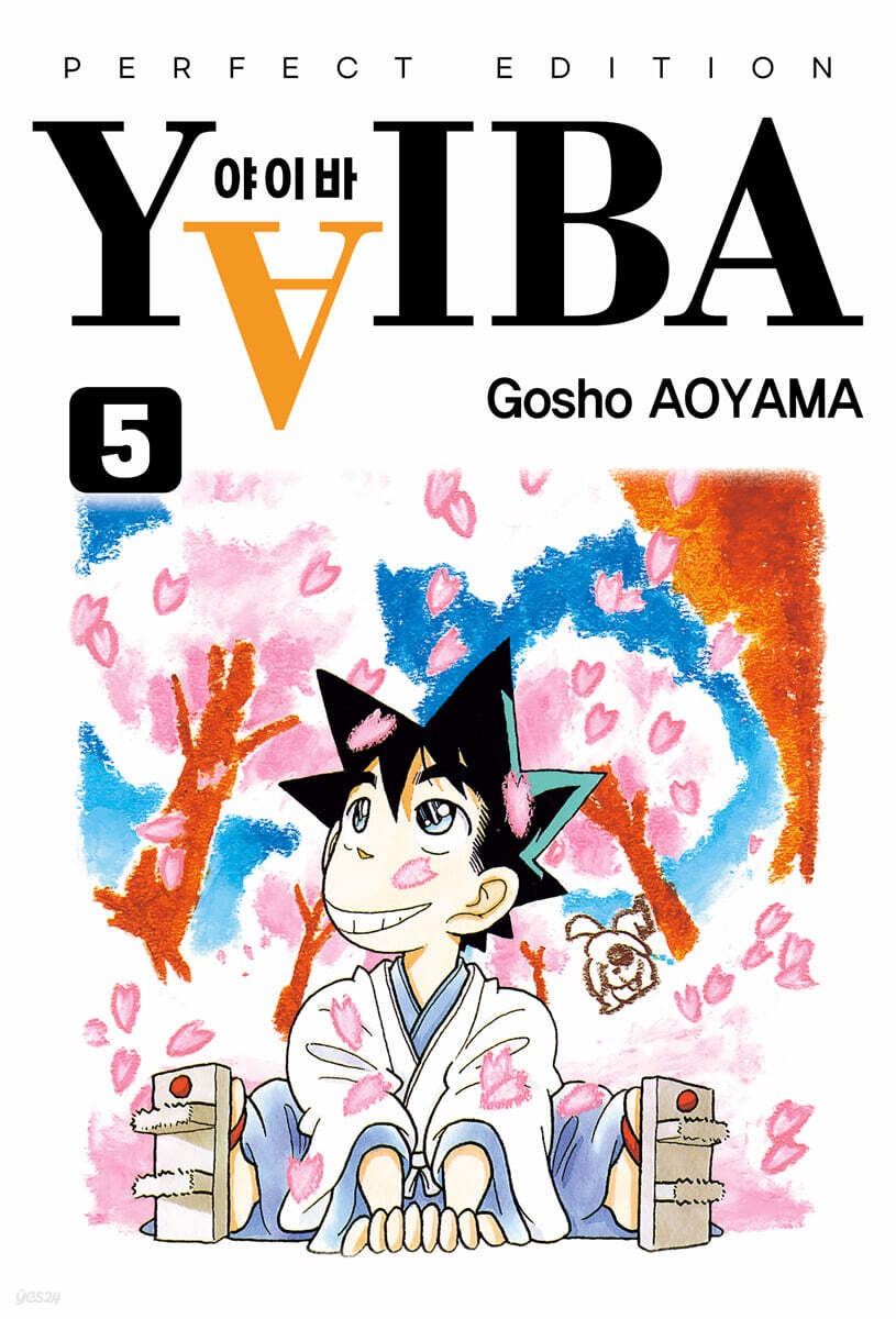 야이바(YAIBA) 완전판 5