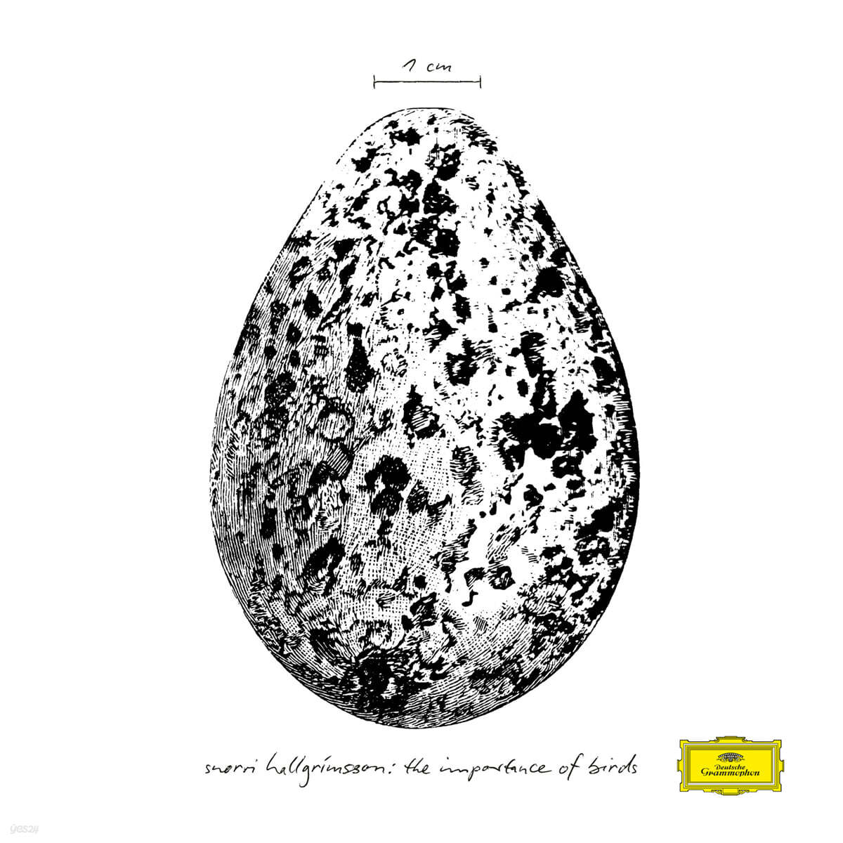 Snorri Hallgrimsson (스노리 할그림슨) - The Importance of Birds [LP]