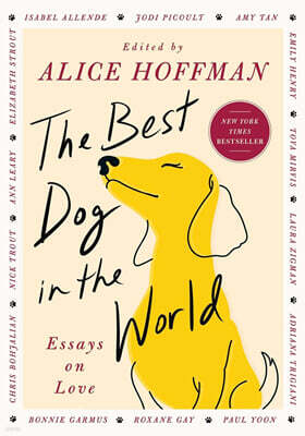 The Best Dog in the World: Essays on Love