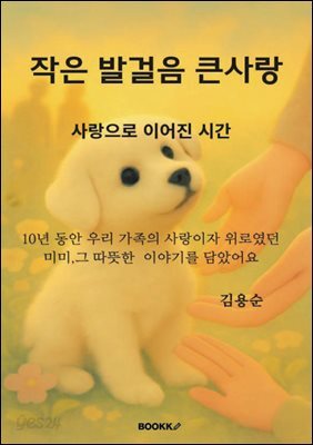 작은 발걸음 큰사랑