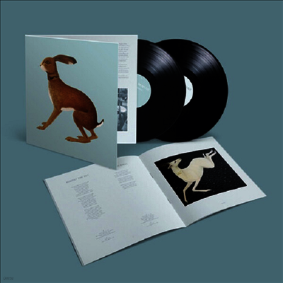 Vashti Bunyan — Lookaftering (Anniversary Edit)(Expanded Version) 앨범 커버