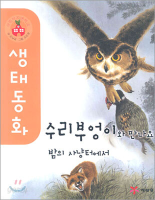 수리부엉이와 만나요 밤의 사냥터에서