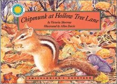 Chipmunk at Hollow Tree Lane (Miniature Edition) (Smithsonian's Backyard Series)