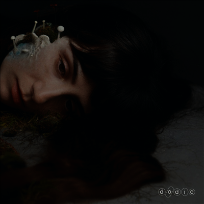 Dodie — Not For Lack Of Trying (Indie Exclusive)(Signed) 앨범 커버